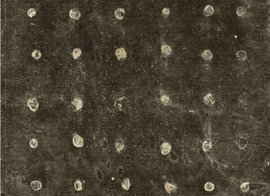 I am Yusuf | 61x46cm | Mixed media on Chinese paper on canvas | 2011