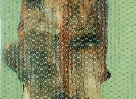 Face023 | 160cm x 145 cm | Mixed media on canvas | 2010