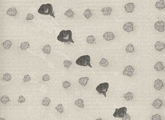 Straight path (Surat Mustaqem) | 91x69cm | Inkjet Digital pigment on fine art paper | 2011