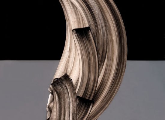 Letters in Ablution 3 200 x 100 cm Acrylic on Plexiglass 2011