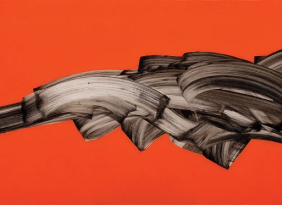 ?Passage on Arrival 12 235 x 85 cm Acrylic on Plexiglass 2011