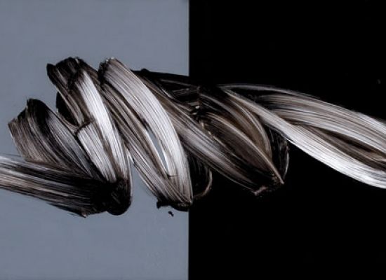 Passage on Arrival 11 - 235 x 85 cm - Acrylic on Plexiglass 2011