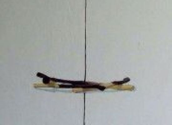 Hanan Elsheikh - 80x80cm,Oil on canvas,2011