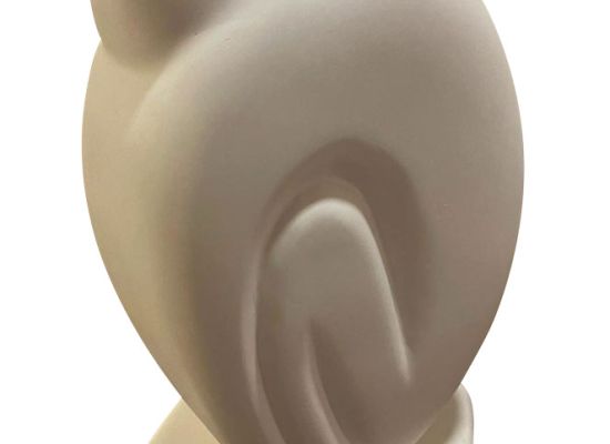 AYSHA HAFEZ - Pigeons of old, Rocks, 2024