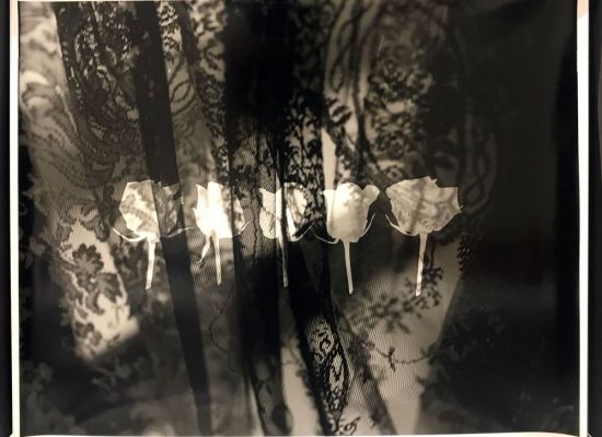 Mai Almotaz - Mai-Almoataz,-Five-Roses,-Gelatin-Silver-print,-Warmtone-fiber,-50x60cm,-2017