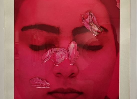 Nazar Yahya / Flower of Chemistry, 66 x 46cm, Prints on Fine Art Paper, 2012