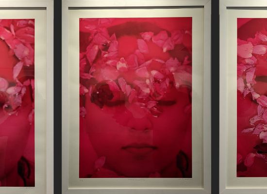 Nazar Yahya / Flower of Chemistry, 66 x 46cm, Prints on Fine Art Paper, 2012