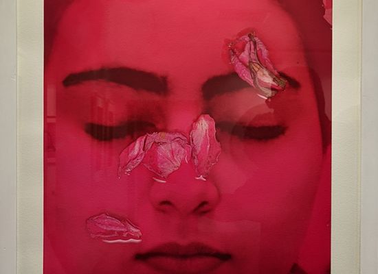 Nazar Yahya / Flower of Chemistry, 66 x 46cm, Prints on Fine Art Paper, 2012