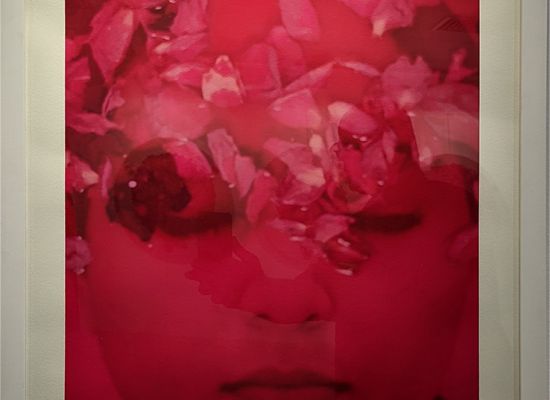 Nazar Yahya / Flower of Chemistry, 66 x 46cm, Prints on Fine Art Paper, 2012