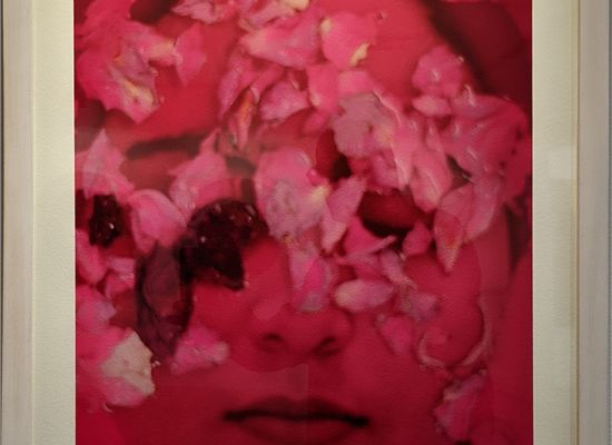 Nazar Yahya / Flower of Chemistry, 66 x 46cm, Prints on Fine Art Paper, 2012