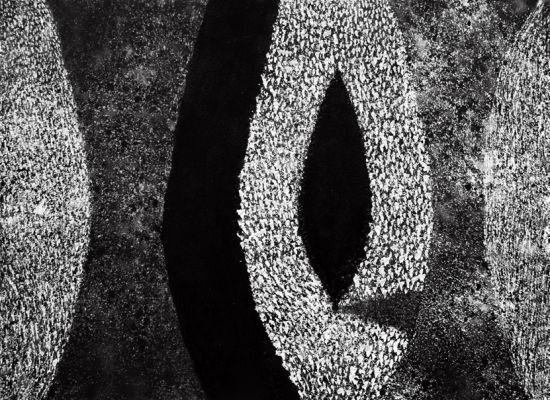 Resmi-Al-Kafaji,-Cypress,-indian-Ink,Water-colour,intervention-on-board-,55x75cm,-2015