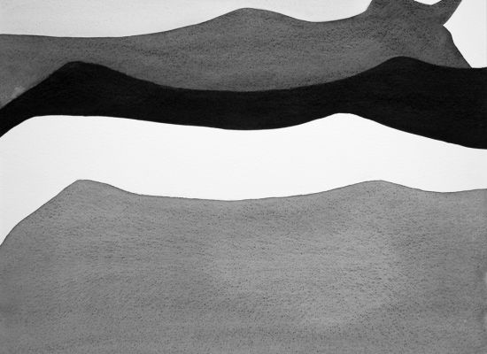 Tori-(Bulls),-water-colour,--55x75cm,-2016