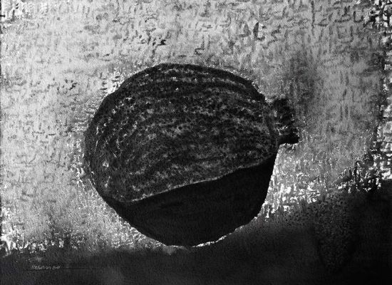 pomegranate_watercolour_2011_cm.75x55