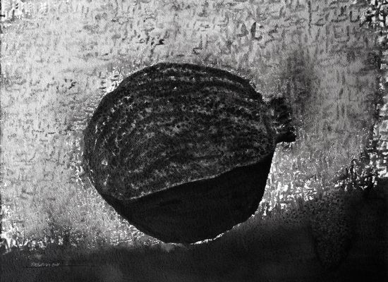 Resmi Al Kafaji, Pomegranate  Watercolour And Intervention On Paper  55 X 75 Cm  2015