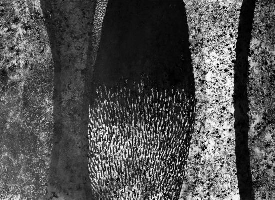 composition_indian_ink and watercolour_on paper__2015_cm.130x90