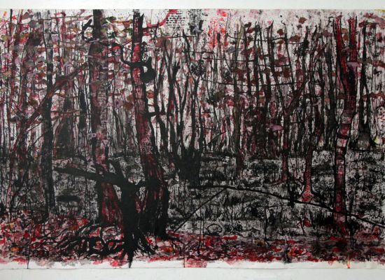 HAYES-WOODS-IN-SEPTEMBER