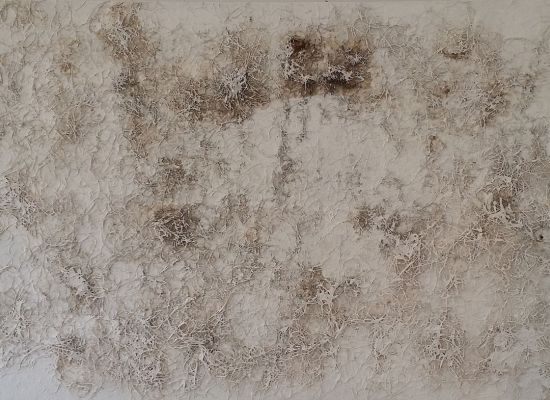 Mixed-media-on-canvas,-90--x120cm,-2015