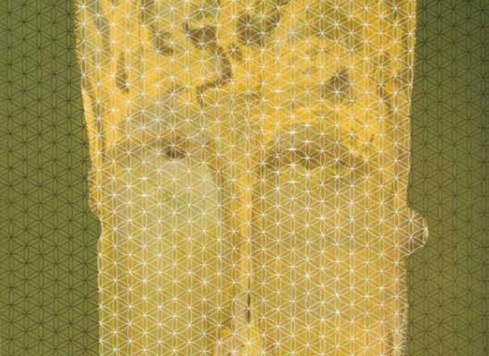 Face025 | 160cm x 145 cm | Mixed media on canvas | 2010